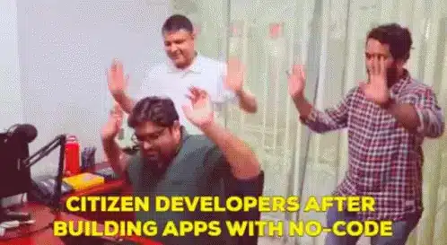 citizen developers vs pro developers difference