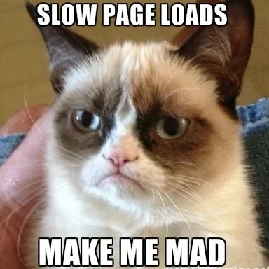 Slow Page Loading Times