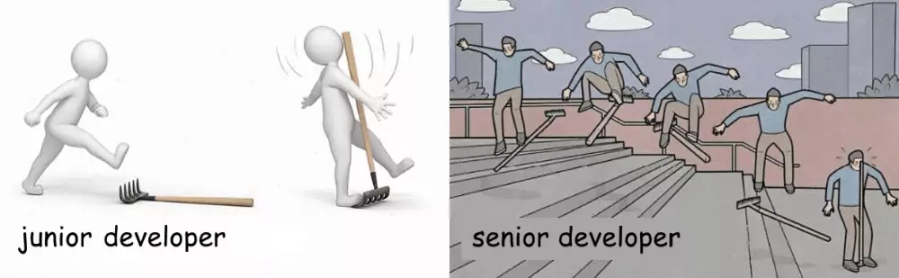 Developers' seniority meme
