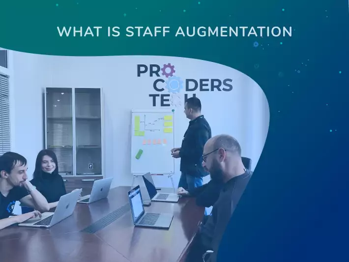 What is Staff Augmentation page previev