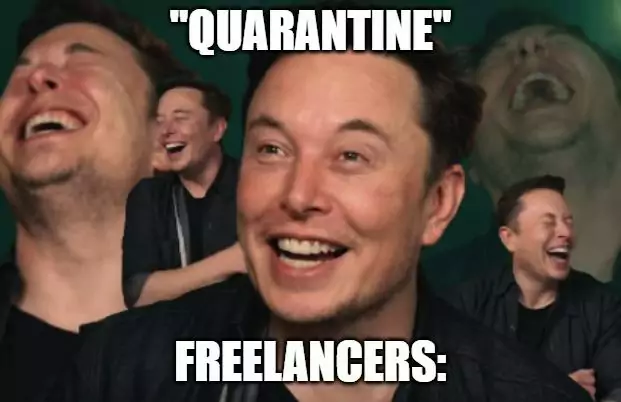 Elon Musk is laughing