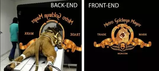 front end vs. back end