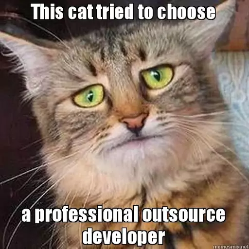 cat trying to find professional developers to outsource 