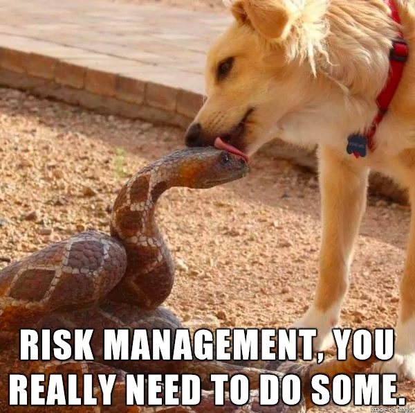 risk management mem