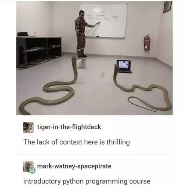 python programming course mem