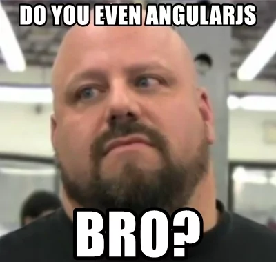 angularjs development company mem
