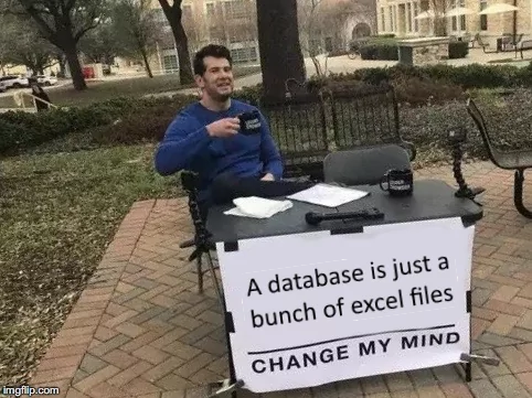 database developer mem