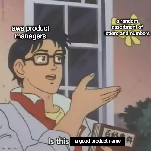 aws expert know all about it's naming mem