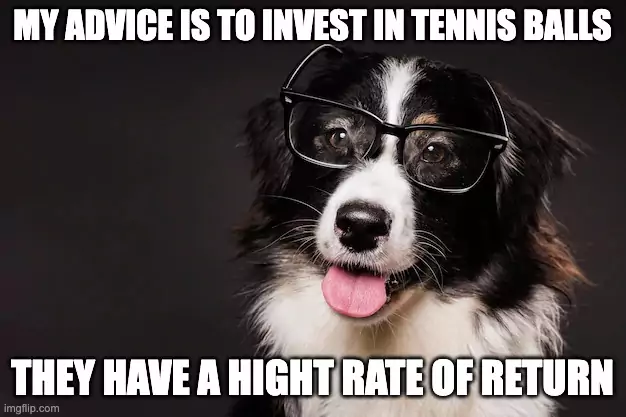 dog's advice about investment