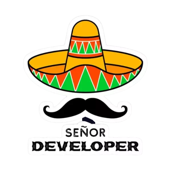 senior developer