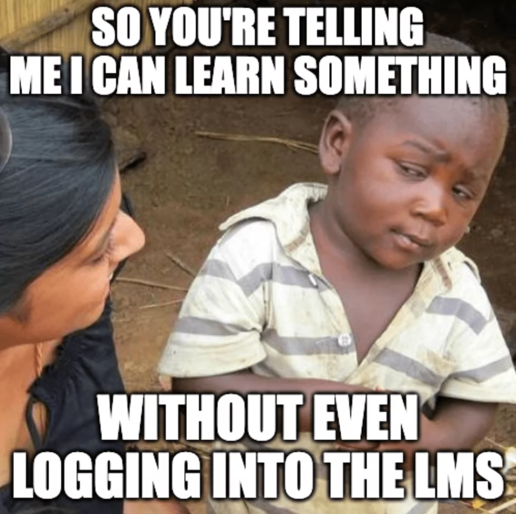 How to implement an LMS? Steps and advice for all businesses