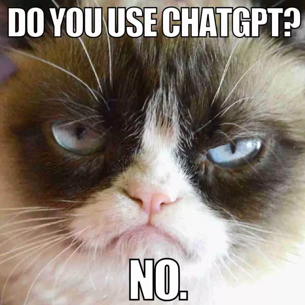 mem - Use ChatGPT 