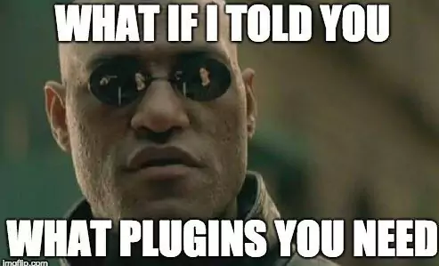 Themes and Plugins