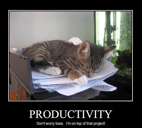 Enhanced Productivity