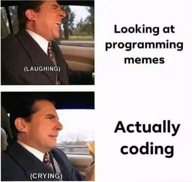  SaaS Programmer