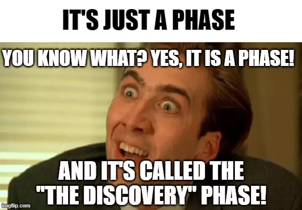 Discovery Phase/MVP Stage