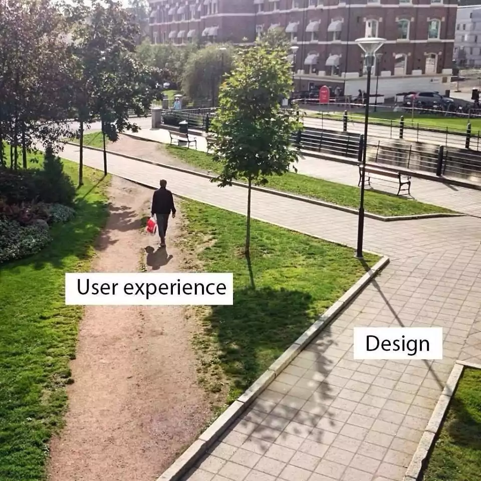 User Experience