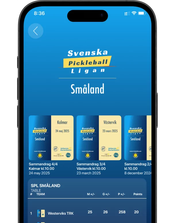 Raqt case study mobile preview